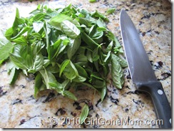 How to freeze garden fresh basil
